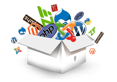 Web Development